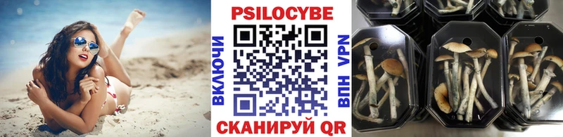 Галлюциногенные грибы Cubensis  Купить закладки  Верхоянск 
